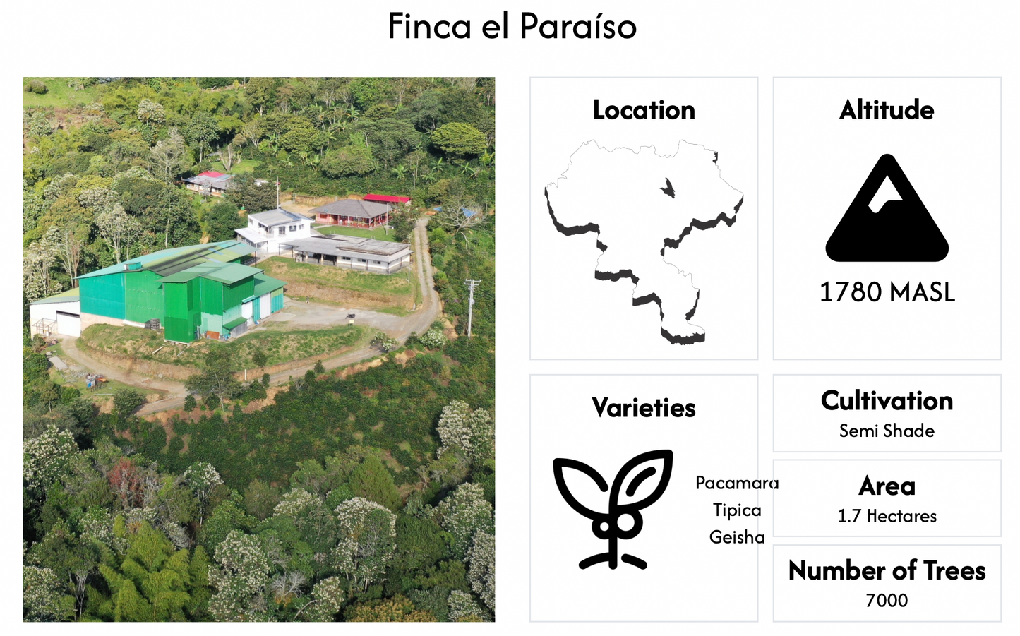 Colombia - Piendamo, Cauca - Finca El Paraíso - Diego Bermudez Tapia - Peach Pink Bourbon - Biocatalisys Thermal Shock