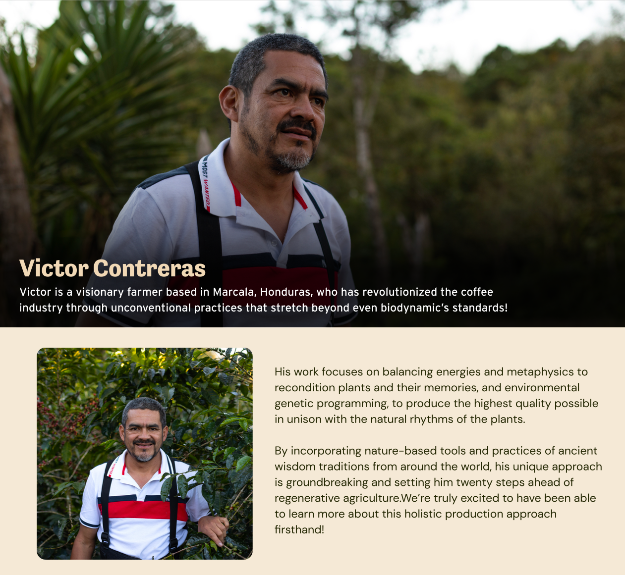 Honduras - Finca Archanos - Victor Contreras - Gesha Floral - 72 Hour Mossto Natural