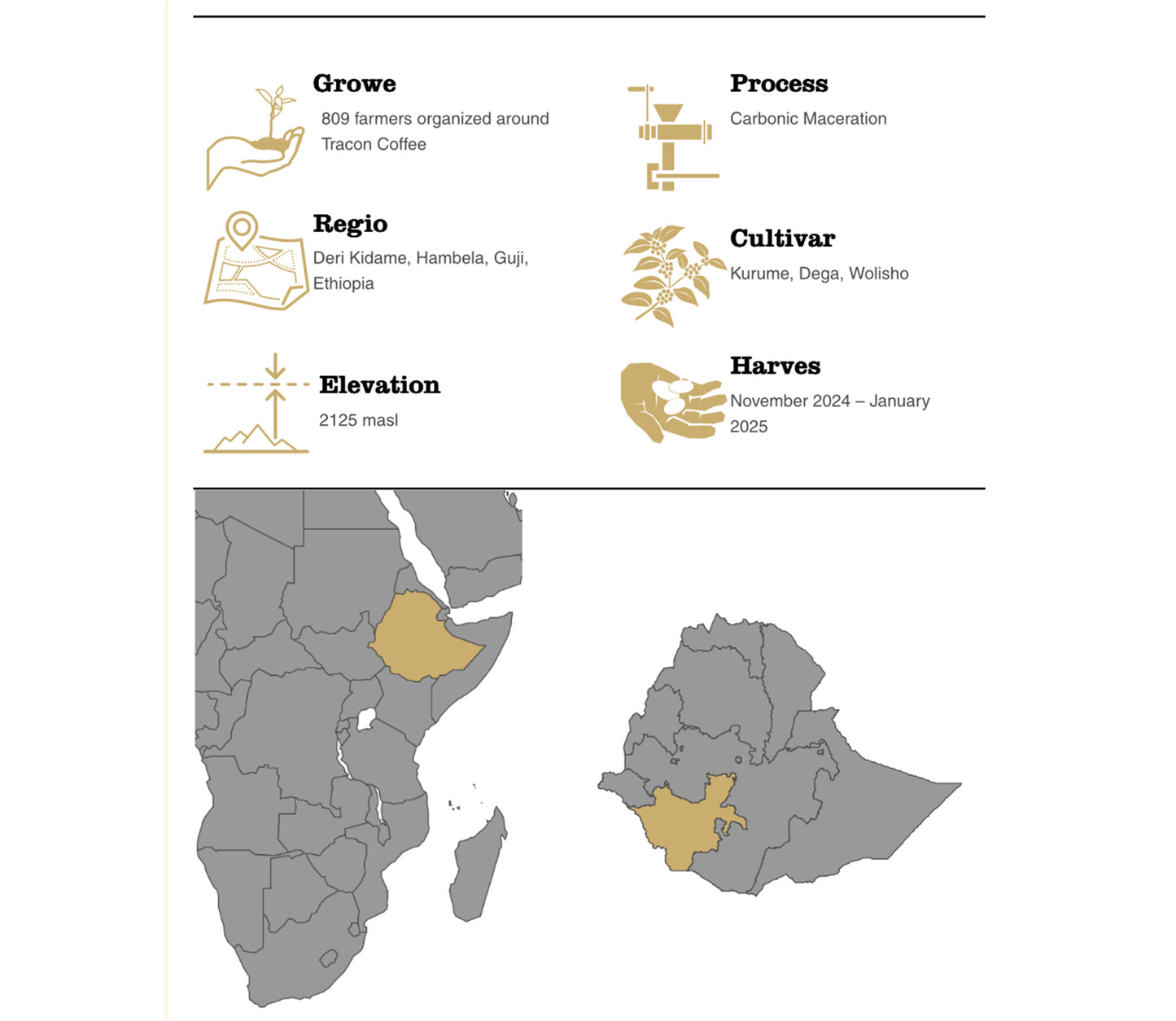 ** Limited Release ** Ethiopia - Guji - Hambela - Tracon Coffee - Carbonic Maceration Natural