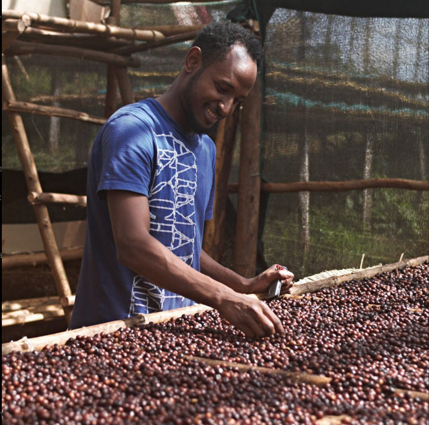 ** Limited Release ** Ethiopia - Guji - Hambela - Tracon Coffee - Carbonic Maceration Natural