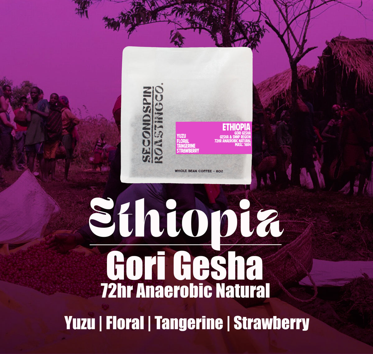 Ethiopia - Gori Gesha - Gesha Forest + SNNPR - 72hr Anaerobic Natural