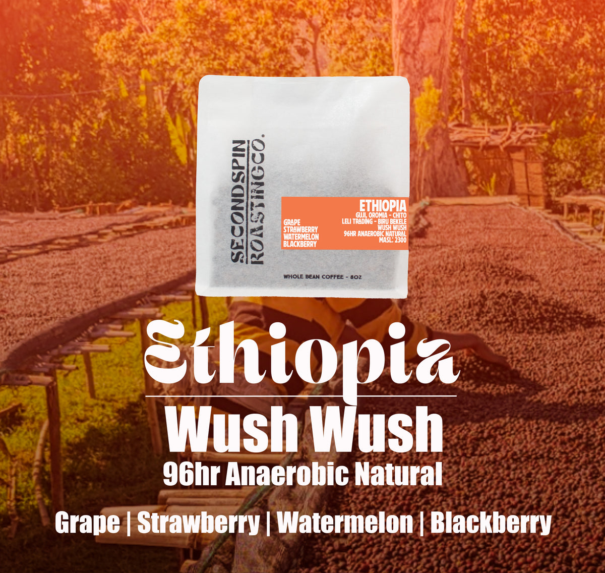 Ethiopia - Biru Bekele - Wush Wush - 96hr Anaerobic natural