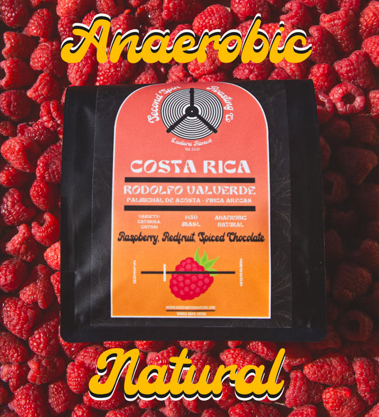 Costa Rica - Los Santos -  Rodolfo Valverde - Palmichal Micro-Mil - Anaerobic Natural