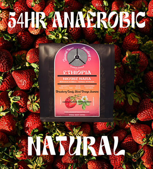 Ethiopia - Niguse Nara - Murago Kebele - 56hr Extended Anaerobic Natural