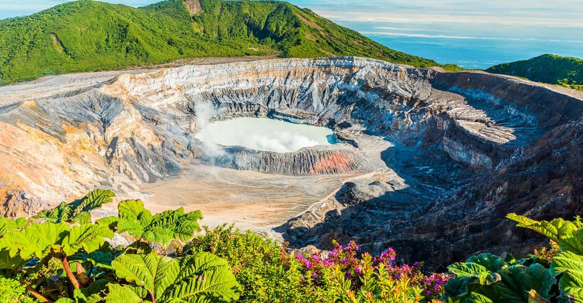 Costa Rica - Poas, Central Valley - Hacienda Sonora - Red Honey Natural