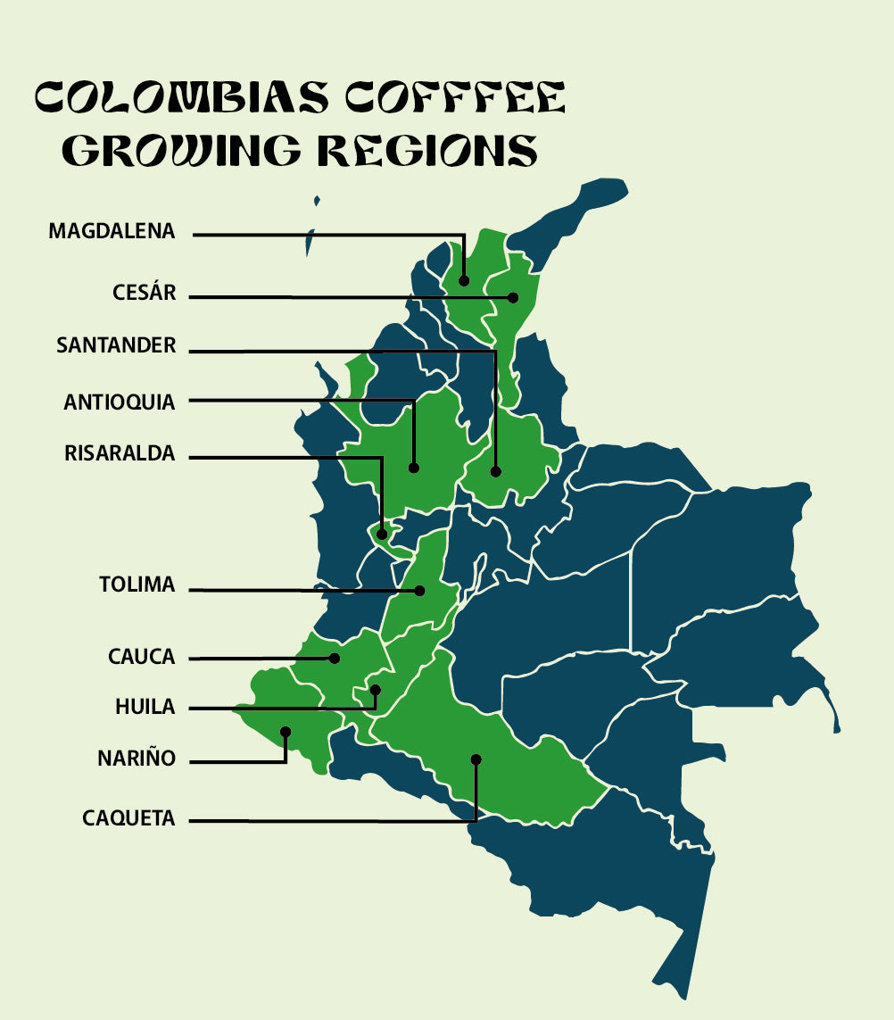 Colombia - Finca El Diviso - Nestor & Adrián Lasso - Gesha - Thermal Shock