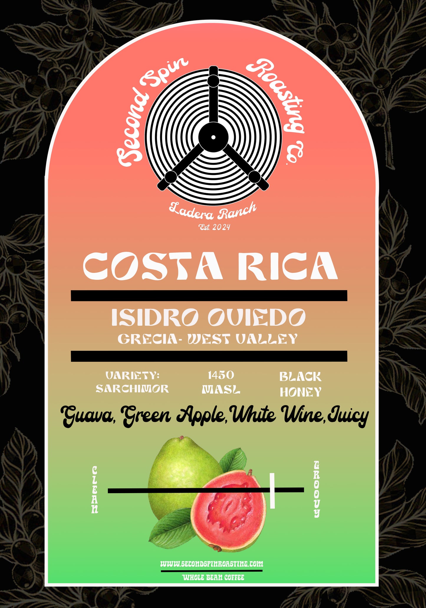 Costa Rica - Grecia - Isidro Oviedo - Black Honey + Natural