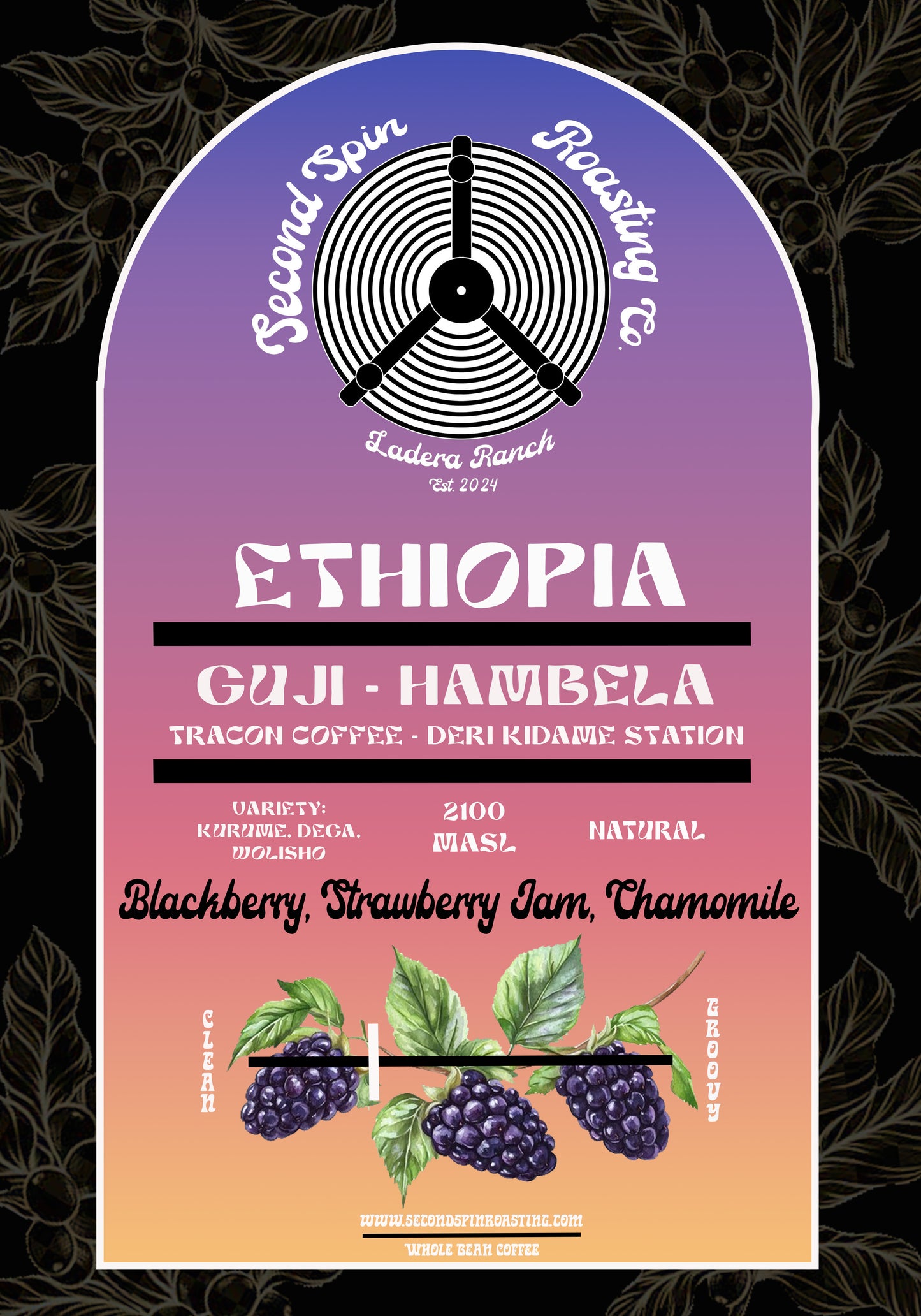 Ethiopia - Guji - Hambela - Tracon Coffee - Deri Kidame Station - Natural