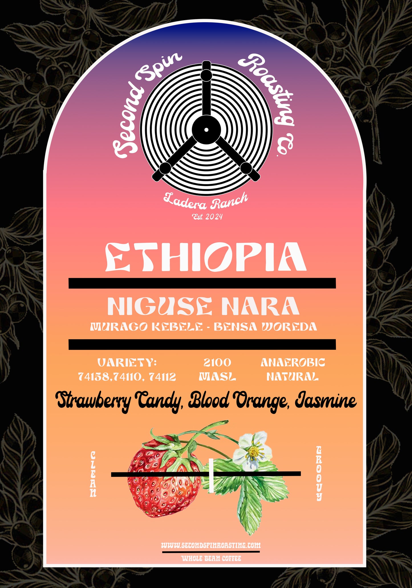 Ethiopia - Niguse Nara - Murago Kebele - 56hr Extended Anaerobic Natural