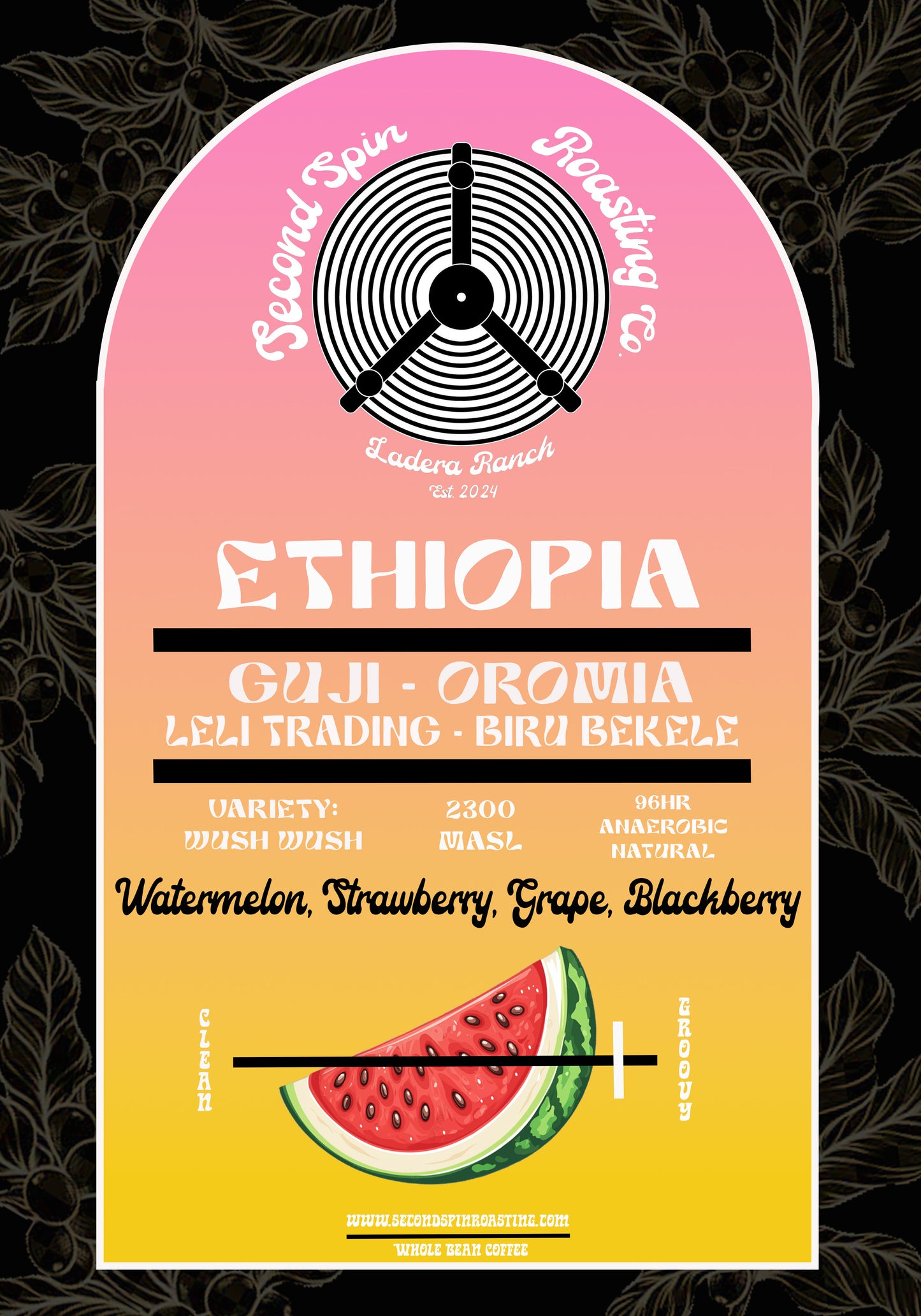 Ethiopia - Biru Bekele - Wush Wush - 96hr Anaerobic natural
