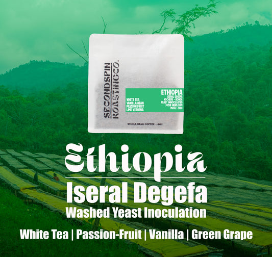 Ethiopia - Kochere - Bonde Washing Station -  Israel Degefa - Washed Yeast Inoculation- 8oz