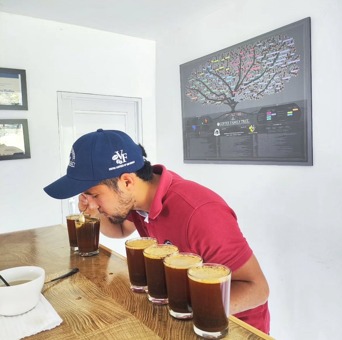 *Limited 66* Colombia - Oporapa, Huila - Quebraditas - Edinson Argote & Angela Rojas - Gesha - 120 Multi-Stage Washed Fermentation