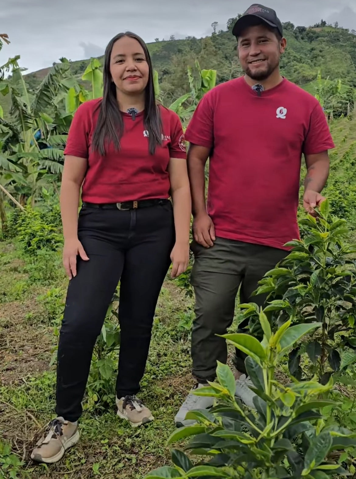 Colombia - Oporapa, Huila - Quebraditas - Edinson Argote - SL-28 - Advanced Natural