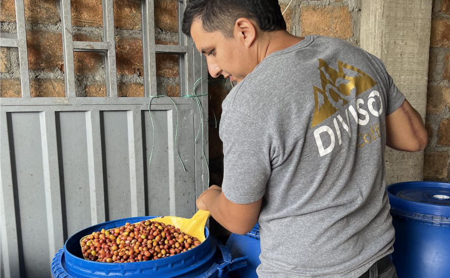 Colombia - Finca El Diviso - Nestor & Adrián Lasso - Gesha - Thermal Shock