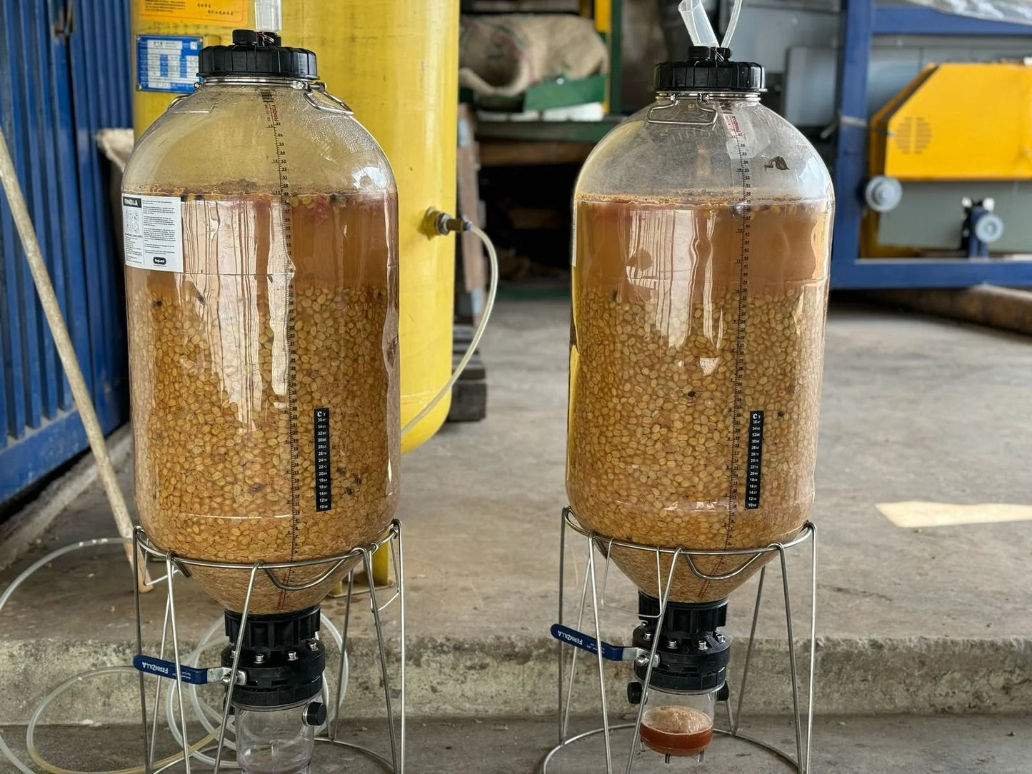 ** Limited 66 Release ** Colombia - Finca Milán - Julio Madrid & Julio Quiceno - New Generation Caturra - 144 Anaerobic Culturing