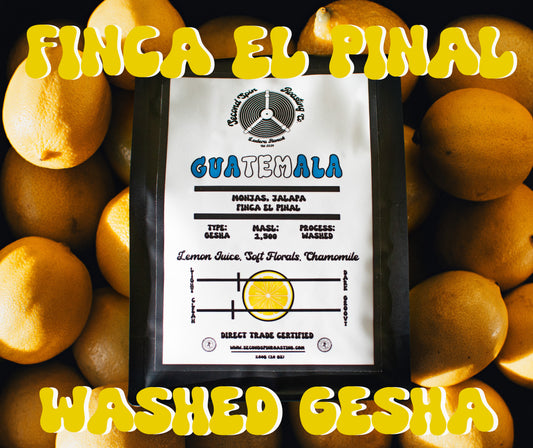 Guatemala, Monjas, Jalapa - Finca El Pinal -  Gesha