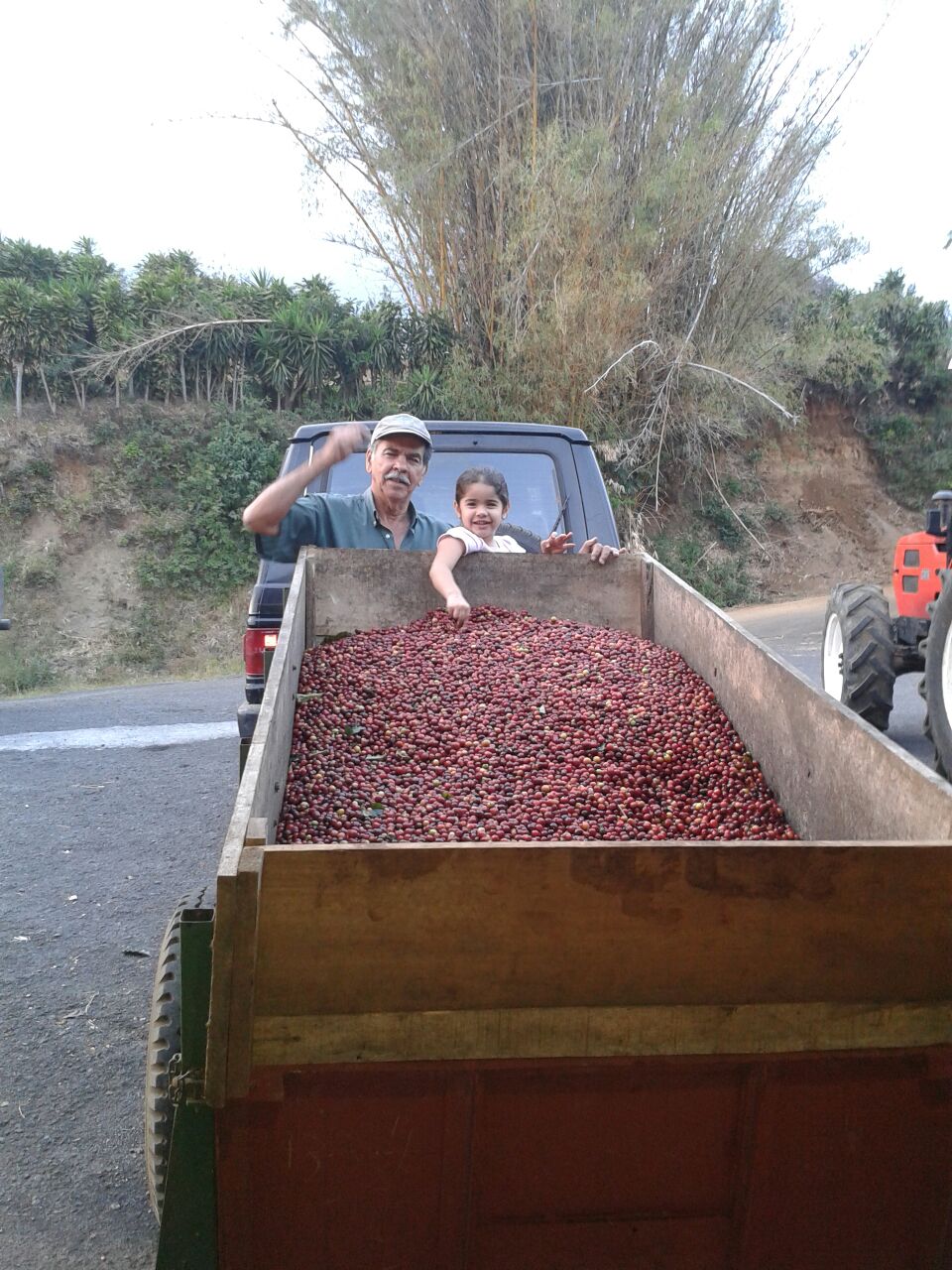 Costa Rica - Grecia - Isidro Oviedo - Black Honey + Natural