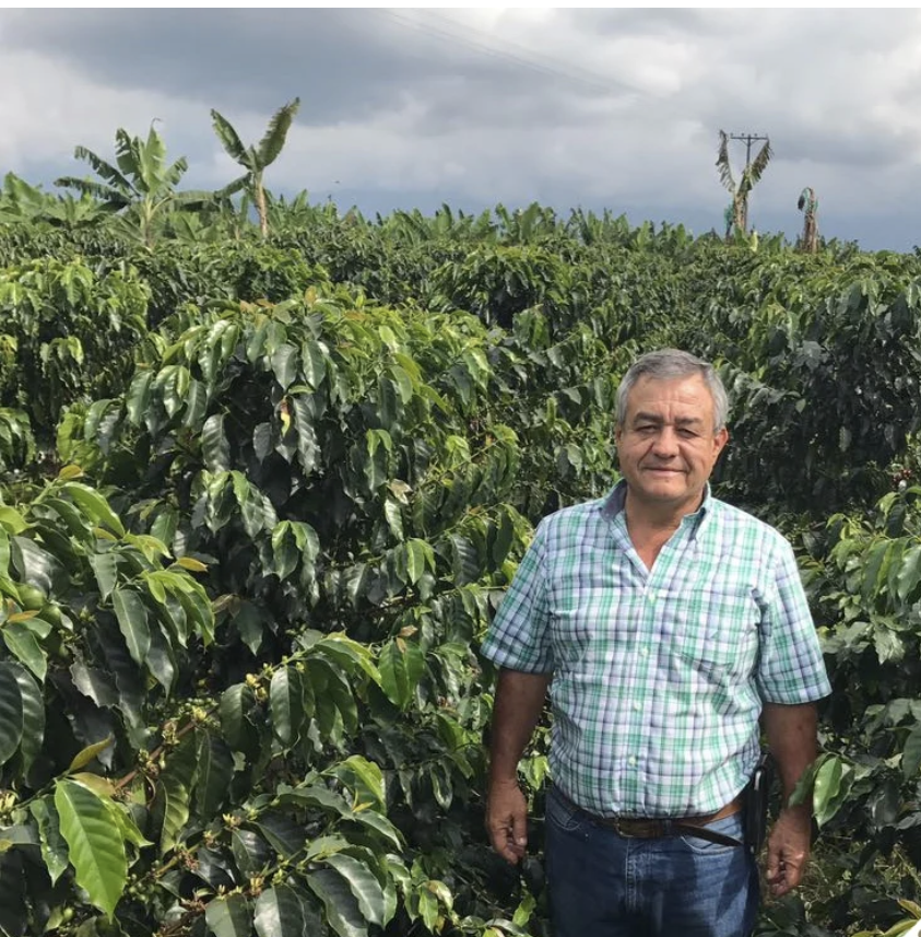 Colombia - Armenia, Quindio - Jairo Arcila - 200 Hour Extended Fermentation - Natural