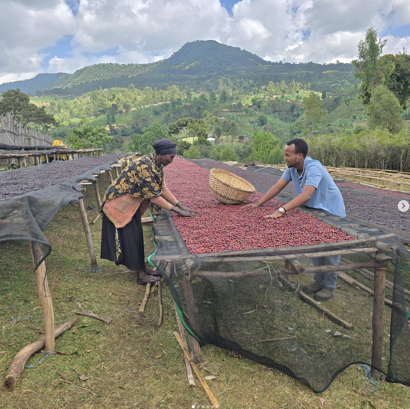 Ethiopia - Niguse Nara - Murago Kebele - 56hr Extended Anaerobic Natural