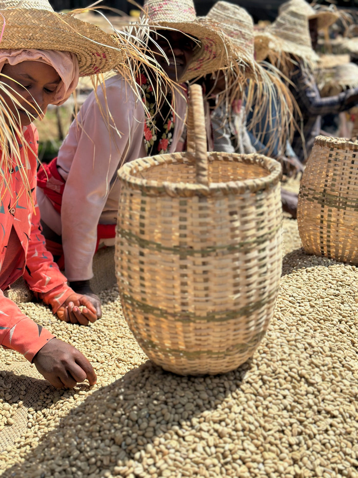 Ethiopia - Boledu Washing Station - Kochere - Yirgacheffe - Natural - 8oz