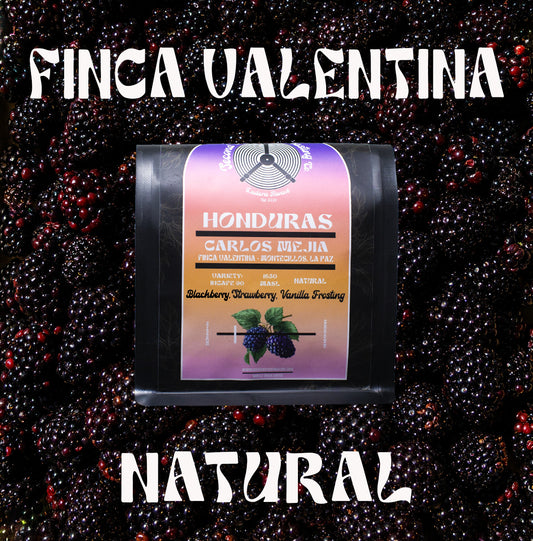 Honduras - Finca La Valentina - Montecillos, La Paz - Natural