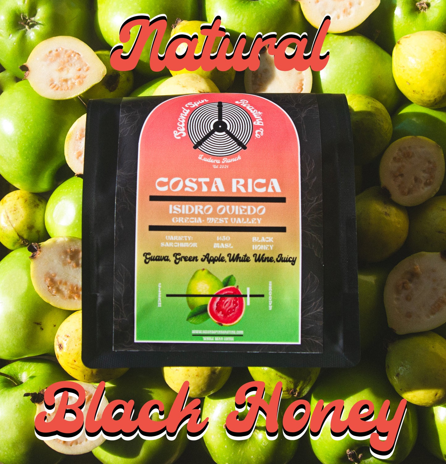 Costa Rica - Grecia - Isidro Oviedo - Black Honey + Natural