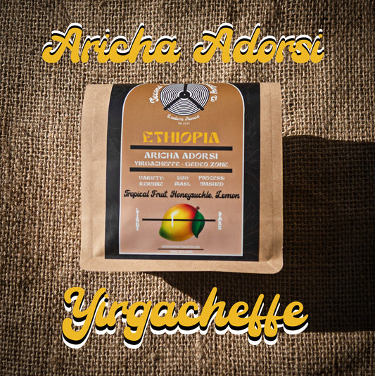 Ethiopia - Aricha Dorsi - Yirgacheffe - Gedeo Zone - Washed