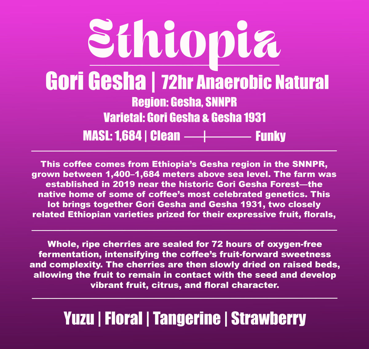 Ethiopia - Gori Gesha - Gesha Forest + SNNPR - 72hr Anaerobic Natural
