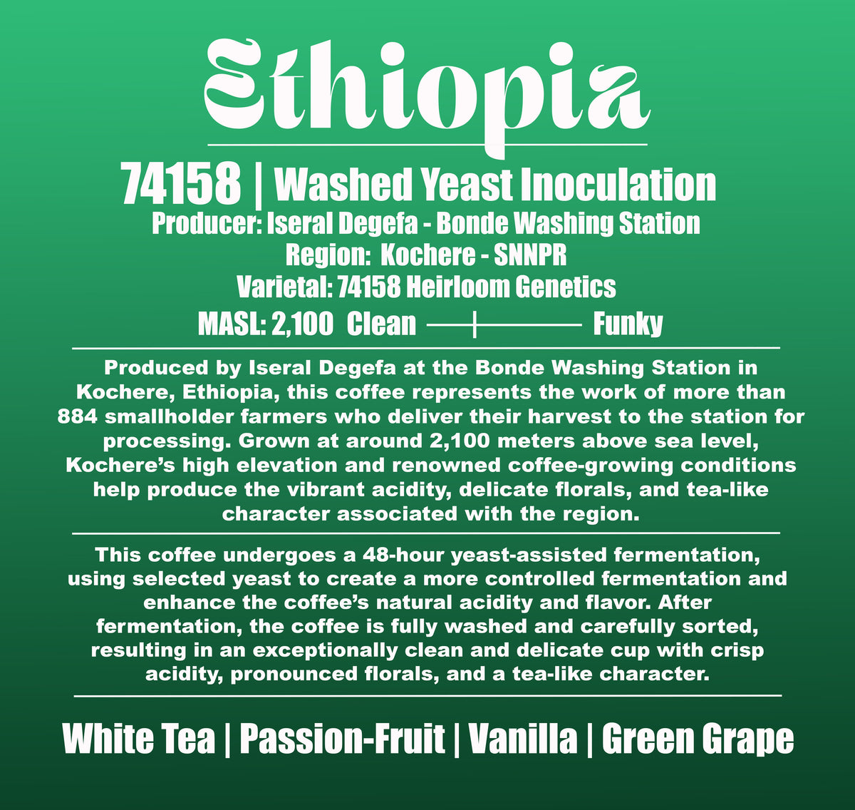 Ethiopia - Kochere - Bonde Washing Station -  Israel Degefa - Washed Yeast Inoculation- 8oz