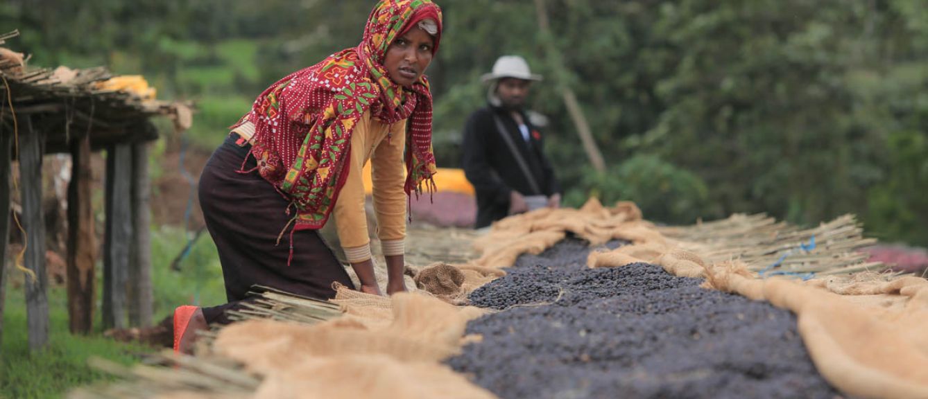 Ethiopia - Guji Buku Natural