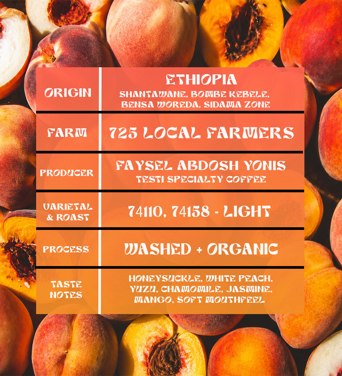 * Micro-Lot* Ethiopia - Faysel Abdosh Yonis - Shawntawene, Ayla - Sidama - Organic Washed