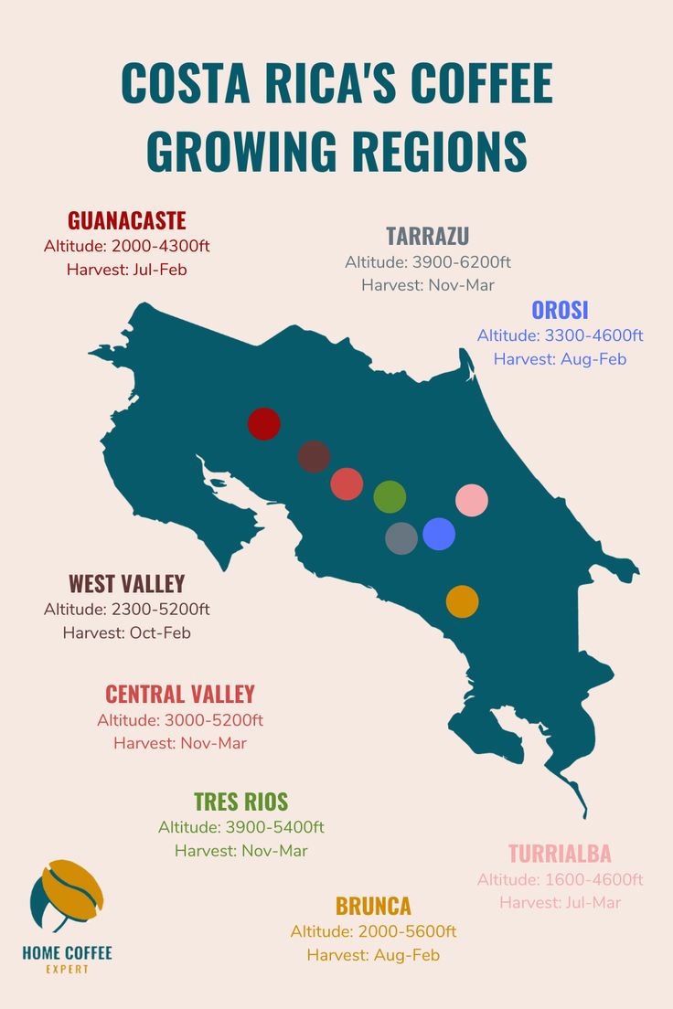 Costa Rica - Poas, Central Valley - Hacienda Sonora - Red Honey Natural