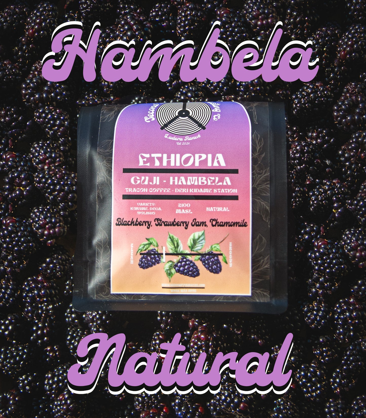 Ethiopia - Guji - Hambela - Tracon Coffee - Deri Kidame Station - Natural