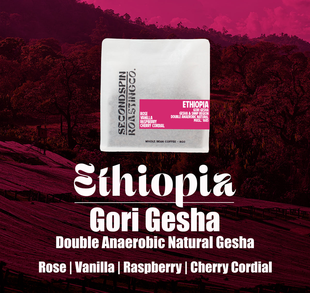 Ethiopia - Gori Gesha - Gesha Forest + SNNPR - Double Anaerobic Natural