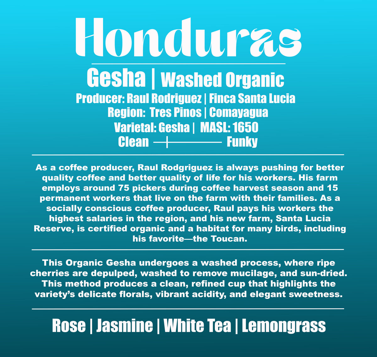 Honduras - Finca Santa Lucia - Raul Rodriguez - Organic Washed Gesha - 8oz