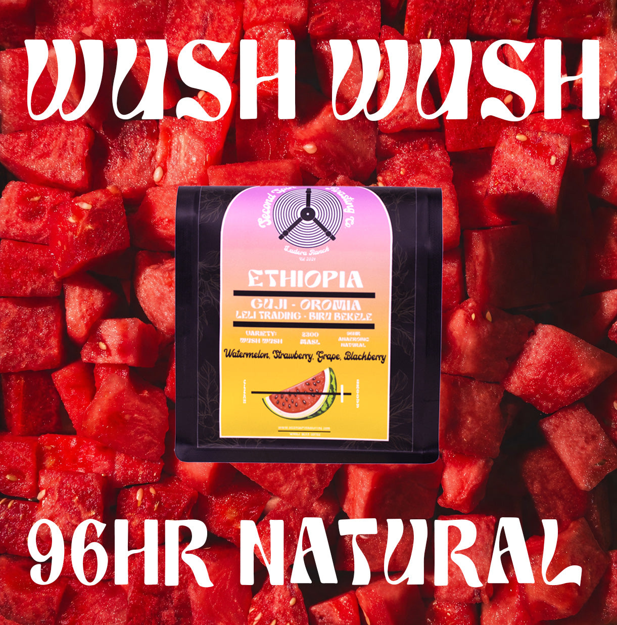 Ethiopia - Biru Bekele - Wush Wush - 96hr Anaerobic natural