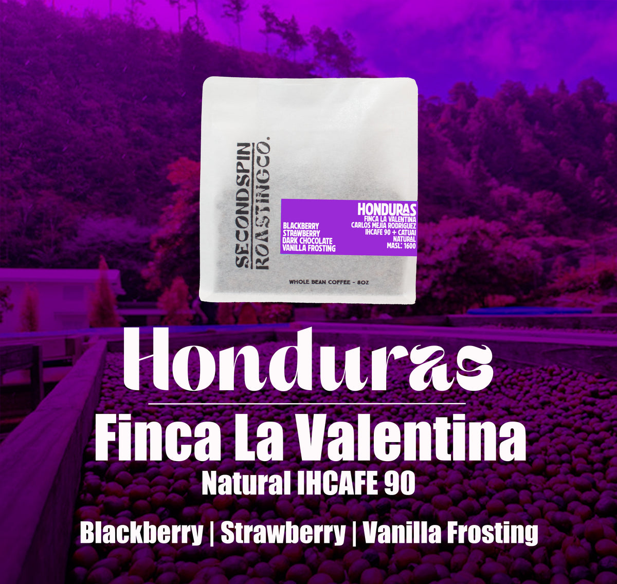 Honduras - Finca La Valentina - Montecillos, La Paz - Natural