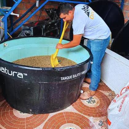 Colombia - Peñas Blancas Estate - Nestor Lasso & Jhon Vergara - Anaerobic Natural - Caturra
