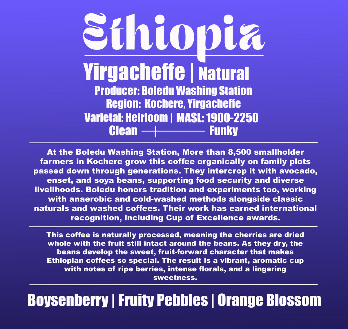 Ethiopia - Boledu Washing Station - Kochere - Yirgacheffe - Natural - 8oz