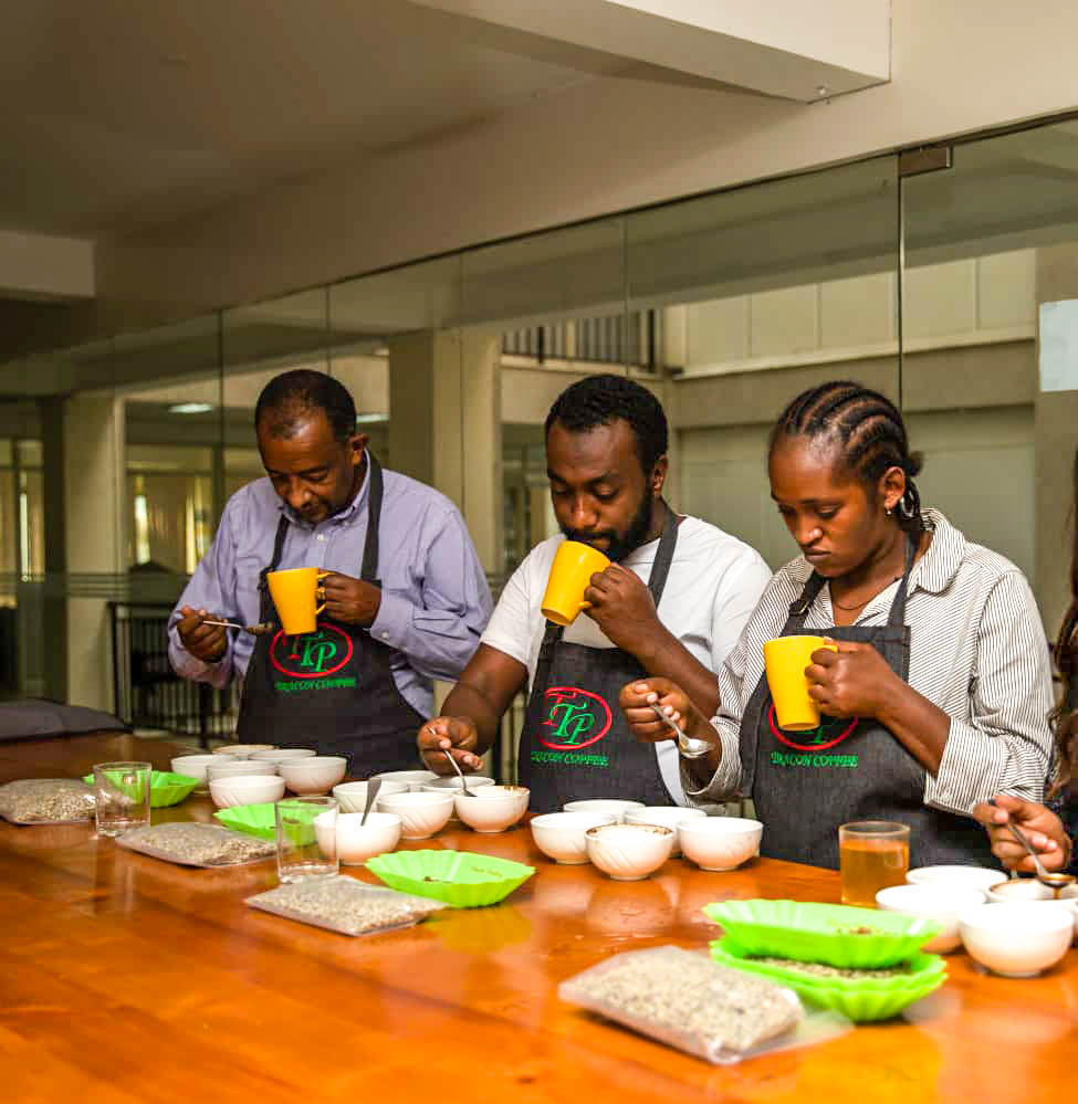 Ethiopia - Guji - Hambela - Tracon Coffee - Deri Kidame Station - Natural