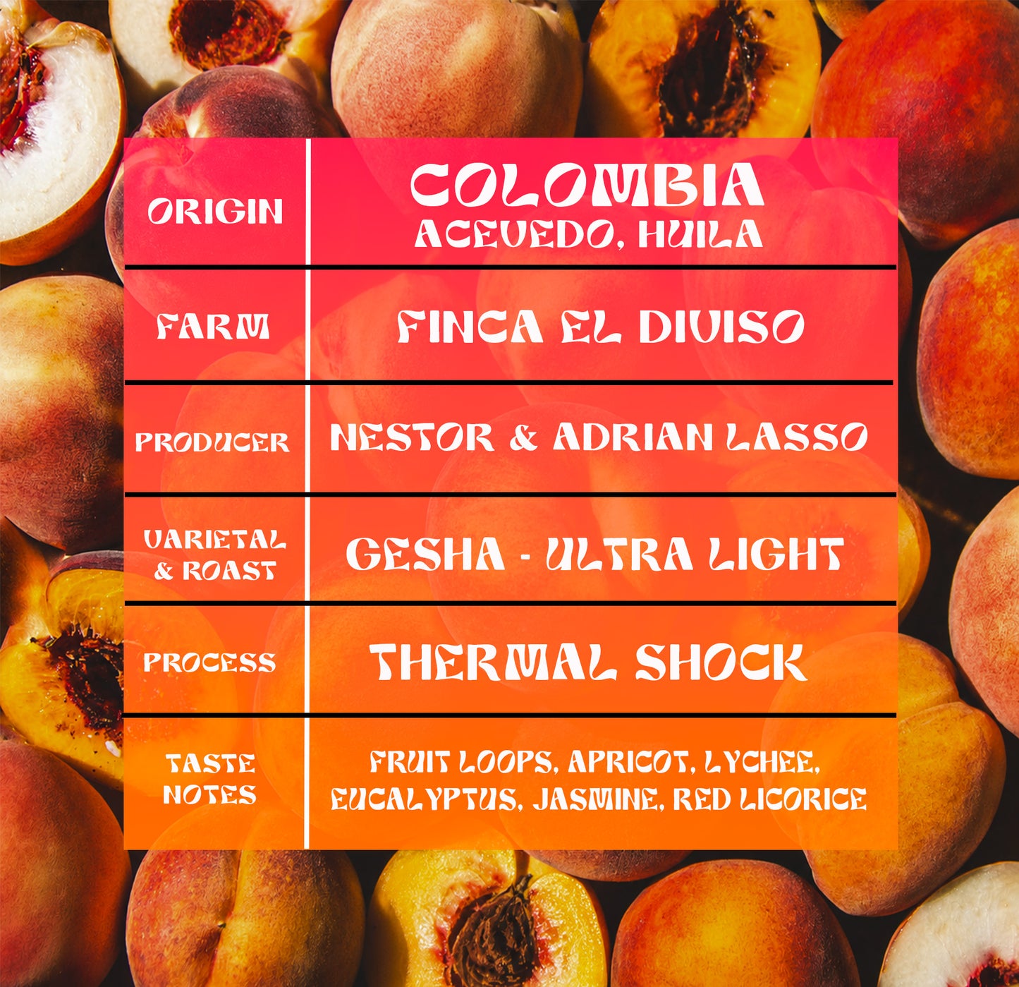 Colombia - Finca El Diviso - Nestor & Adrián Lasso - Gesha - Thermal Shock
