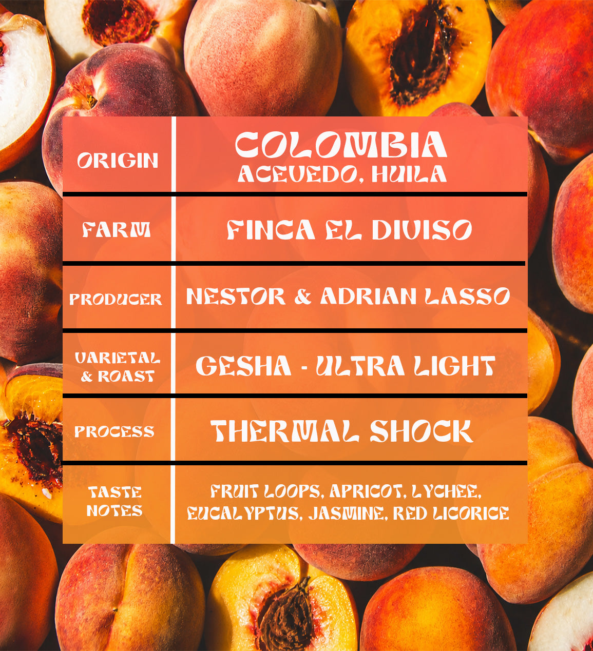 Colombia - Finca El Diviso - Nestor & Adrián Lasso - Gesha - Thermal Shock