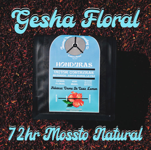 Honduras - Finca Archanos - Victor Contreras - Gesha Floral - 72 Hour Mossto Natural