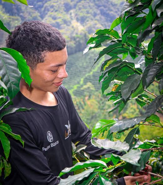 Colombia - Peñas Blancas Estate - Nestor Lasso & Jhon Vergara - Anaerobic Natural - Caturra