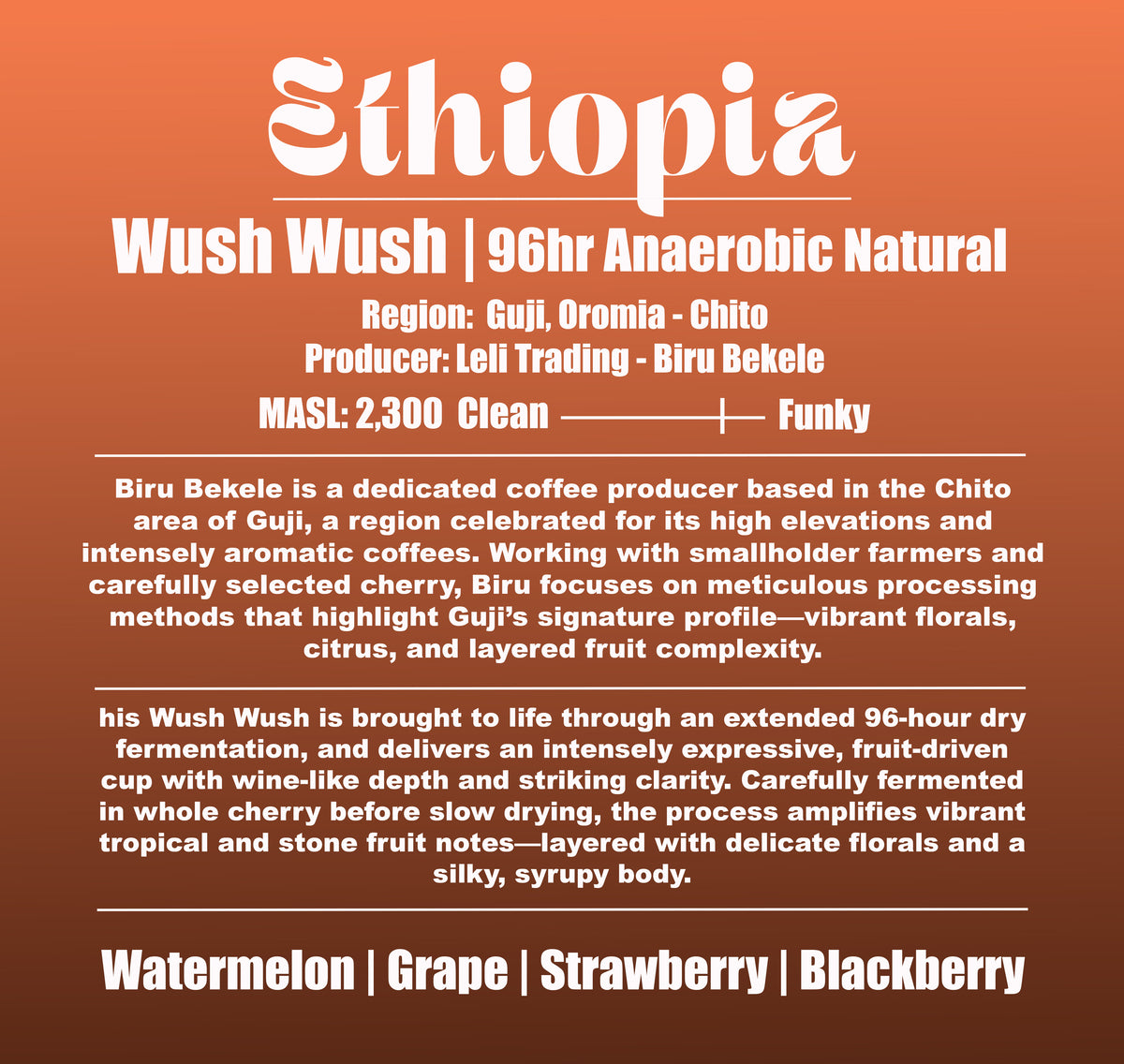 Ethiopia - Biru Bekele - Wush Wush - 96hr Anaerobic natural