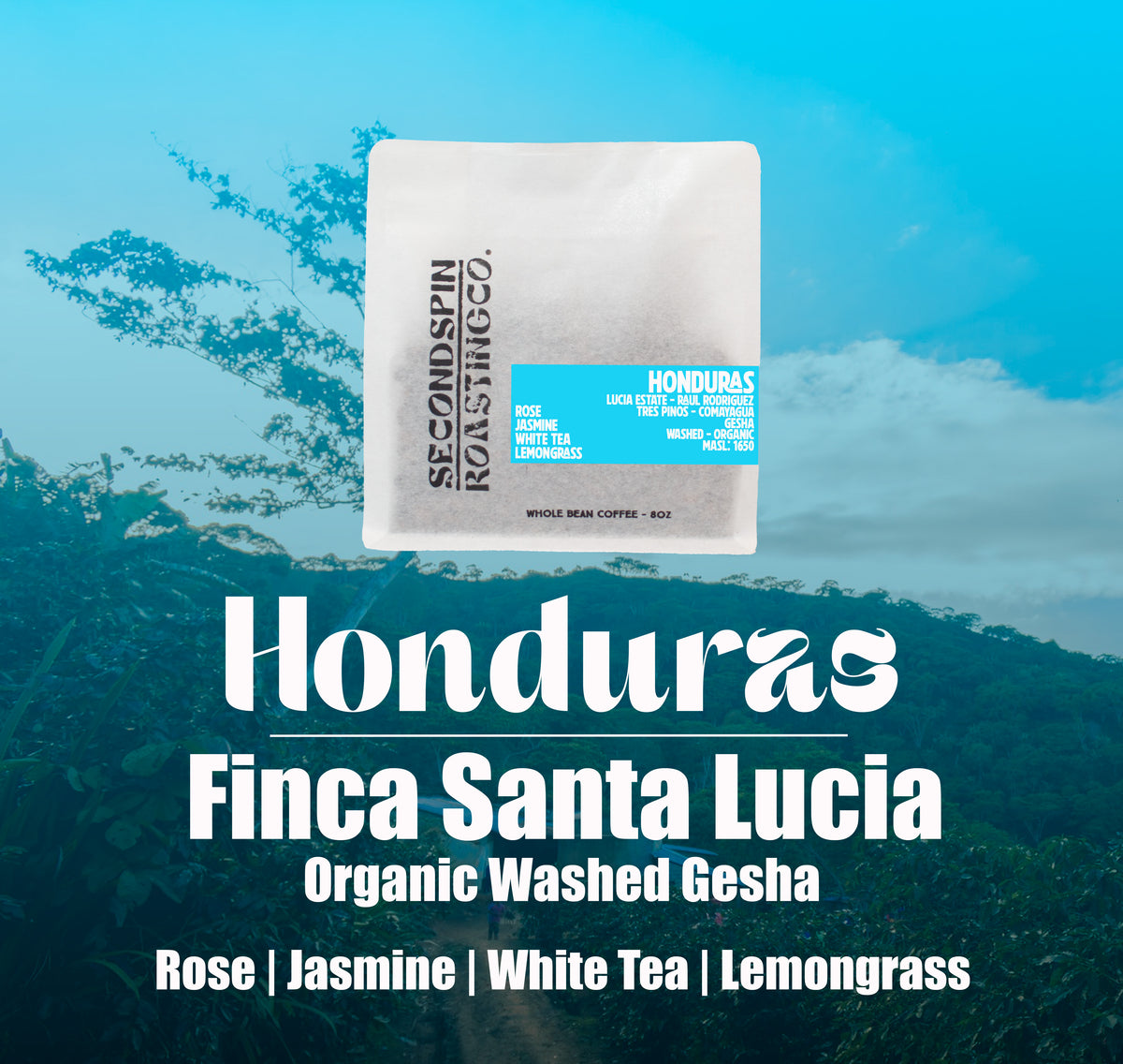 Honduras - Finca Santa Lucia - Raul Rodriguez - Organic Washed Gesha - 8oz
