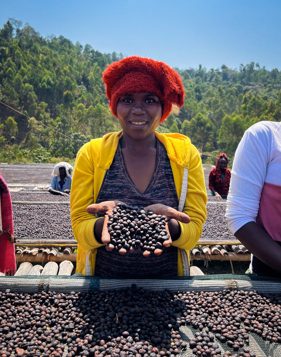 * Micro-Lot* Ethiopia - Faysel Abdosh Yonis - Shawntawene, Ayla - Sidama - Organic Washed