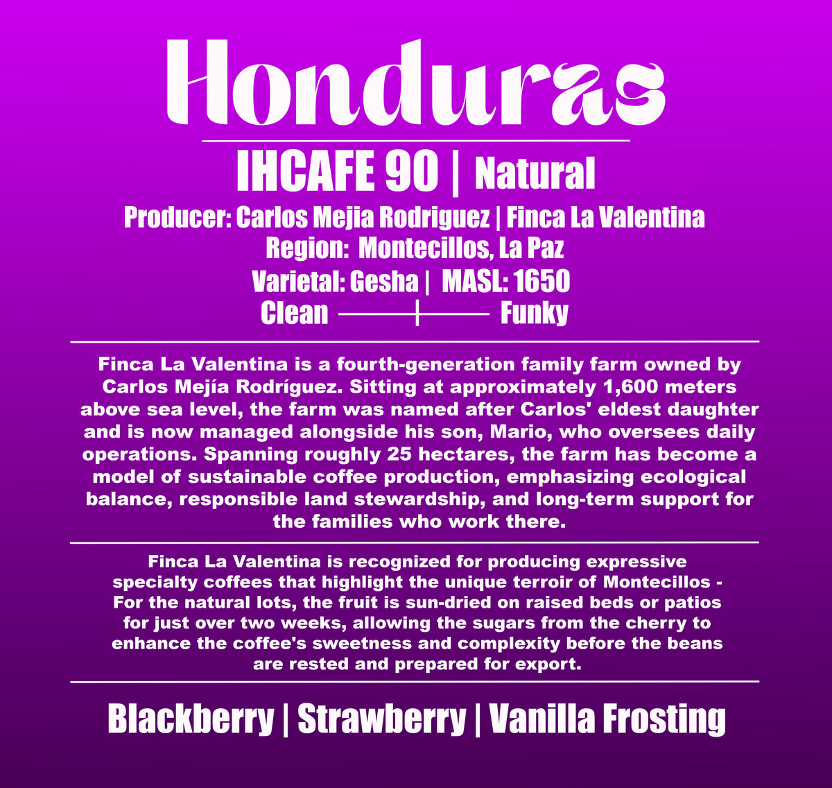 Honduras - Finca La Valentina - Montecillos, La Paz - Natural